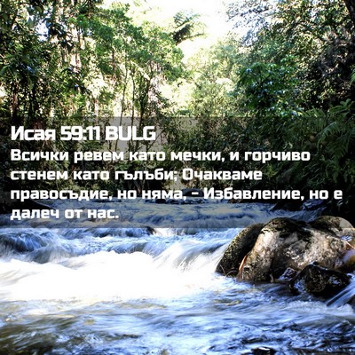 Picture 02 - Исая 59:11 BULG - Всички ревем като мечки, и - Bible Verse Picture