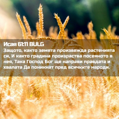 Picture 02 - Исая 61:11 BULG - Защото, както земята - Bible Verse Picture