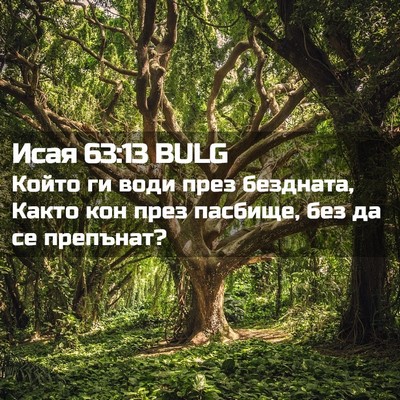 Picture 02 - Исая 63:13 BULG - Който ги води през - Bible Verse Picture