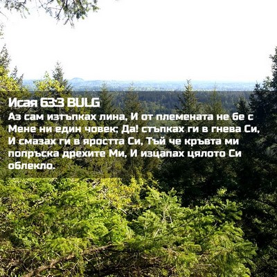 Picture 02 - Исая 63:3 BULG - Аз сам изтъпках лина, И от - Bible Verse Picture