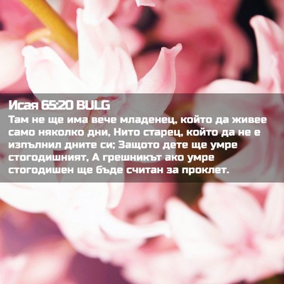 Picture 02 - Исая 65:20 BULG - Там не ще има вече - Bible Verse Picture