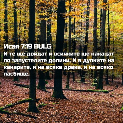 Picture 02 - Исая 7:19 BULG - И те ще дойдат и всичките - Bible Verse Picture