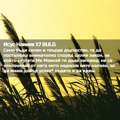 Picture 02 - Исус Навиев 1:7 BULG - Само бъди силен и твърде - Bible Verse Picture
