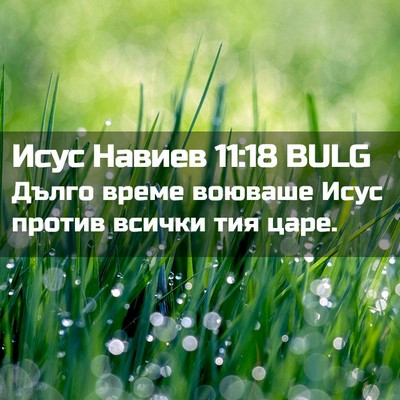 Picture 02 - Исус Навиев 11:18 BULG - Дълго време воюваше Исус - Bible Verse Picture