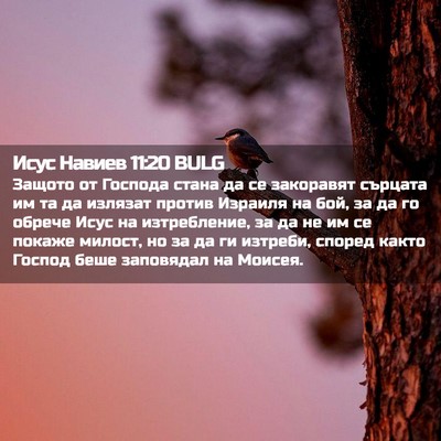 Picture 02 - Исус Навиев 11:20 BULG - Защото от Господа стана да - Bible Verse Picture