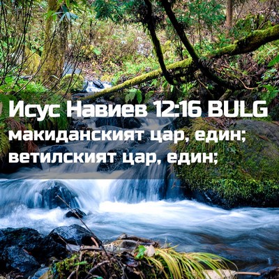 Picture 02 - Исус Навиев 12:16 BULG - макиданският цар, един; - Bible Verse Picture