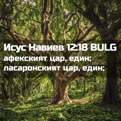 Picture 02 - Исус Навиев 12:18 BULG - афекският цар, един; - Bible Verse Picture