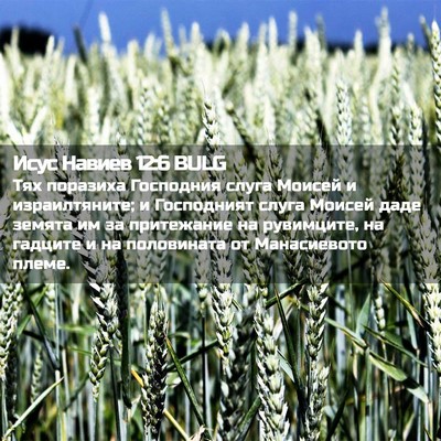 Picture 02 - Исус Навиев 12:6 BULG - Тях поразиха Господния - Bible Verse Picture