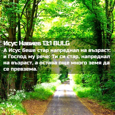 Picture 02 - Исус Навиев 13:1 BULG - А Исус беше стар напреднал - Bible Verse Picture