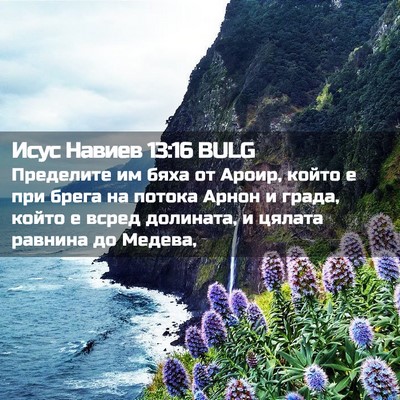 Picture 02 - Исус Навиев 13:16 BULG - Пределите им бяха от Ароир, - Bible Verse Picture