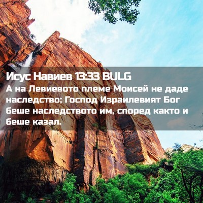 Picture 02 - Исус Навиев 13:33 BULG - А на Левиевото племе - Bible Verse Picture