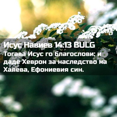 Picture 02 - Исус Навиев 14:13 BULG - Тогава Исус го благослови; - Bible Verse Picture