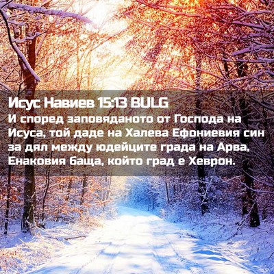 Picture 02 - Исус Навиев 15:13 BULG - И според заповяданото от - Bible Verse Picture