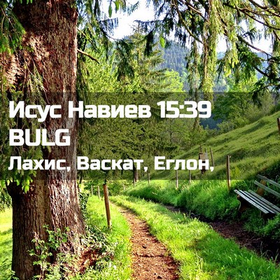 Picture 02 - Исус Навиев 15:39 BULG - Лахис, Васкат, - Bible Verse Picture