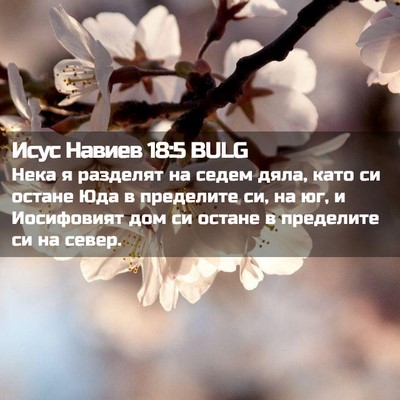 Picture 02 - Исус Навиев 18:5 BULG - Нека я разделят на седем - Bible Verse Picture