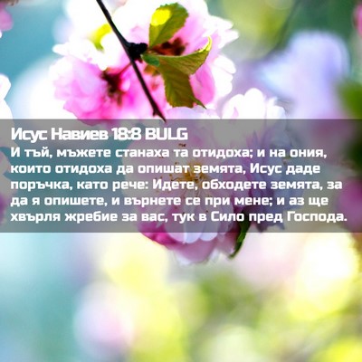 Picture 02 - Исус Навиев 18:8 BULG - И тъй, мъжете станаха та - Bible Verse Picture