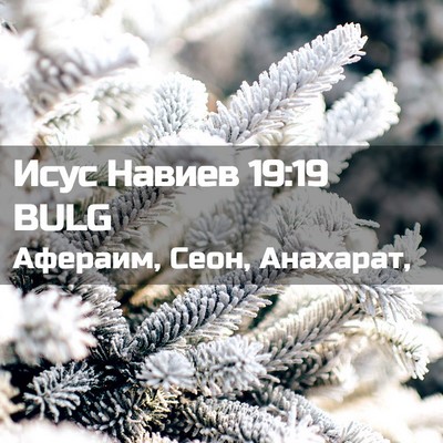 Picture 02 - Исус Навиев 19:19 BULG - Афераим, Сеон, - Bible Verse Picture