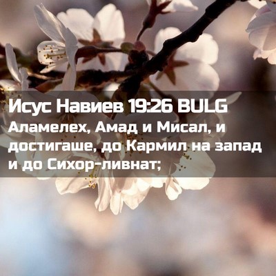 Picture 02 - Исус Навиев 19:26 BULG - Аламелех, Амад и Мисал, и - Bible Verse Picture
