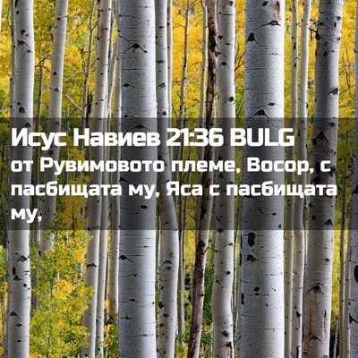 Picture 02 - Исус Навиев 21:36 BULG - от Рувимовото племе, Восор, - Bible Verse Picture
