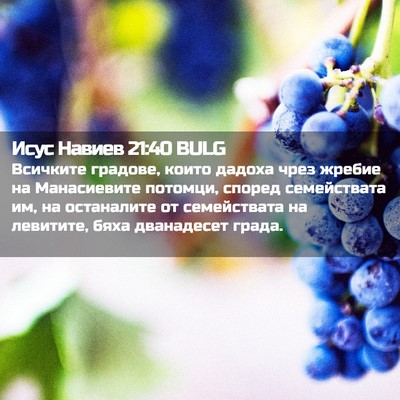Picture 02 - Исус Навиев 21:40 BULG - Всичките градове, които - Bible Verse Picture
