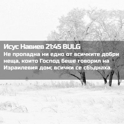 Picture 02 - Исус Навиев 21:45 BULG - Не пропадна ни едно от - Bible Verse Picture