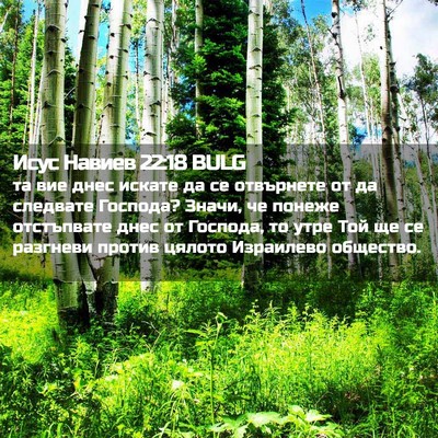 Picture 02 - Исус Навиев 22:18 BULG - та вие днес искате да се - Bible Verse Picture