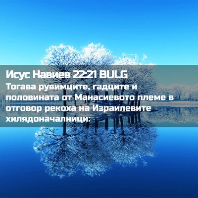 Picture 02 - Исус Навиев 22:21 BULG - Тогава рувимците, гадците - Bible Verse Picture