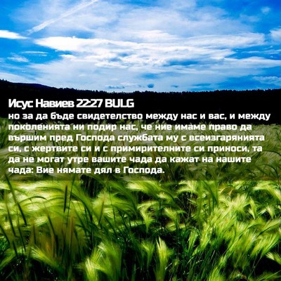 Picture 02 - Исус Навиев 22:27 BULG - но за да бъде свидетелство - Bible Verse Picture