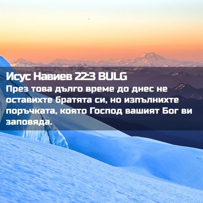 Picture 02 - Исус Навиев 22:3 BULG - През това дълго време до - Bible Verse Picture