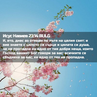 Picture 02 - Исус Навиев 23:14 BULG - И, ето, днес аз отивам по - Bible Verse Picture