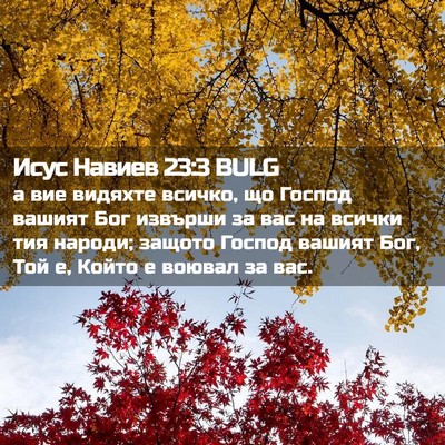 Picture 02 - Исус Навиев 23:3 BULG - а вие видяхте всичко, що - Bible Verse Picture