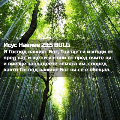 Picture 02 - Исус Навиев 23:5 BULG - И Господ вашият Бог, Той ще - Bible Verse Picture