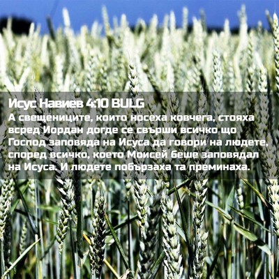 Picture 02 - Исус Навиев 4:10 BULG - А свещениците, които - Bible Verse Picture