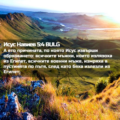 Picture 02 - Исус Навиев 5:4 BULG - А ето причината, по която - Bible Verse Picture