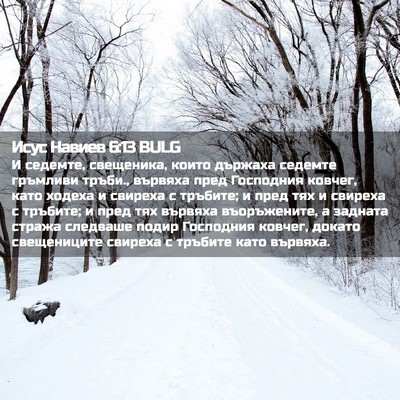 Picture 02 - Исус Навиев 6:13 BULG - И седемте, свещеника, които - Bible Verse Picture
