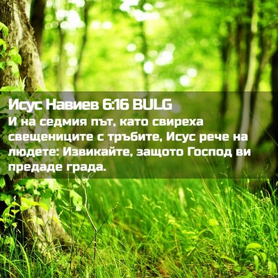Picture 02 - Исус Навиев 6:16 BULG - И на седмия път, като - Bible Verse Picture