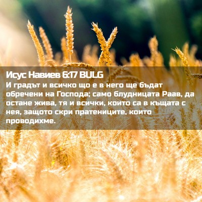 Picture 02 - Исус Навиев 6:17 BULG - И градът и всичко що е в - Bible Verse Picture