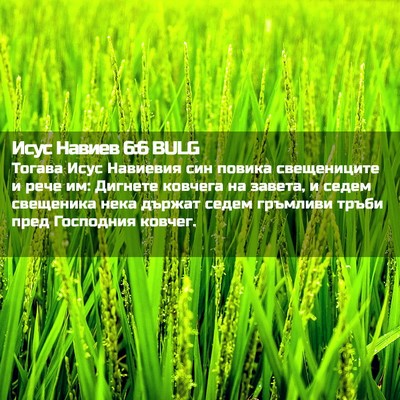 Picture 02 - Исус Навиев 6:6 BULG - Тогава Исус Навиевия син - Bible Verse Picture