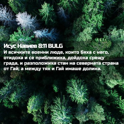 Picture 02 - Исус Навиев 8:11 BULG - И всичките военни люде, - Bible Verse Picture