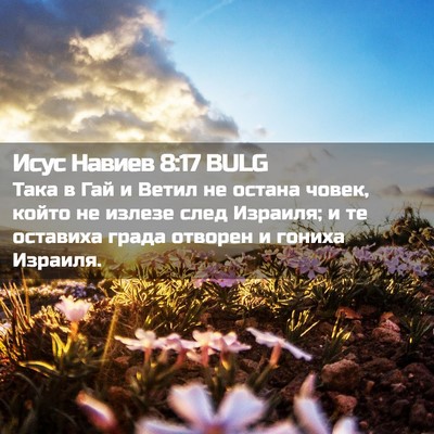 Picture 02 - Исус Навиев 8:17 BULG - Така в Гай и Ветил не - Bible Verse Picture
