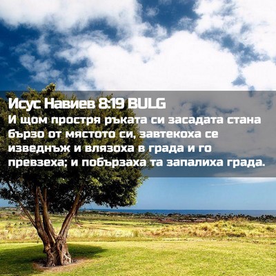 Picture 02 - Исус Навиев 8:19 BULG - И щом простря ръката си - Bible Verse Picture