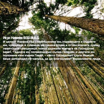 Picture 02 - Исус Навиев 8:33 BULG - И целият Израил, със - Bible Verse Picture