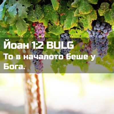 Picture 02 - Йоан 1:2 BULG - То в началото беше у - Bible Verse Picture