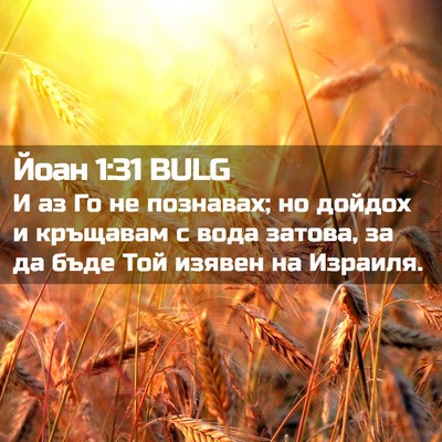 Picture 02 - Йоан 1:31 BULG - И аз Го не познавах; но - Bible Verse Picture