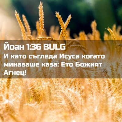 Picture 02 - Йоан 1:36 BULG - И като съгледа Исуса - Bible Verse Picture