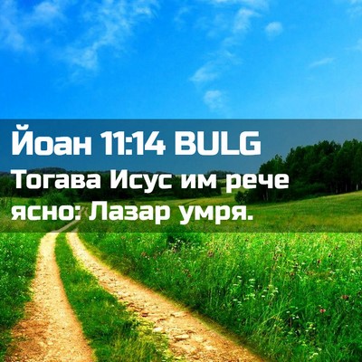 Picture 02 - Йоан 11:14 BULG - Тогава Исус им рече ясно: - Bible Verse Picture