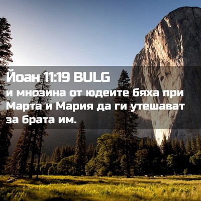 Picture 02 - Йоан 11:19 BULG - и мнозина от юдеите бяха - Bible Verse Picture