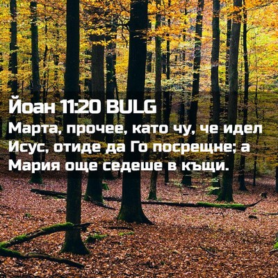 Picture 02 - Йоан 11:20 BULG - Марта, прочее, като чу, че - Bible Verse Picture