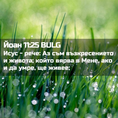 Picture 02 - Йоан 11:25 BULG - Исус - рече: Аз съм - Bible Verse Picture