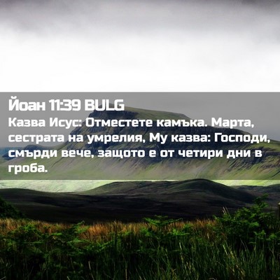 Picture 02 - Йоан 11:39 BULG - Казва Исус: Отместете - Bible Verse Picture